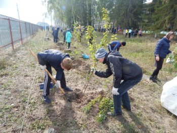 Акция "Посади свое дерево"